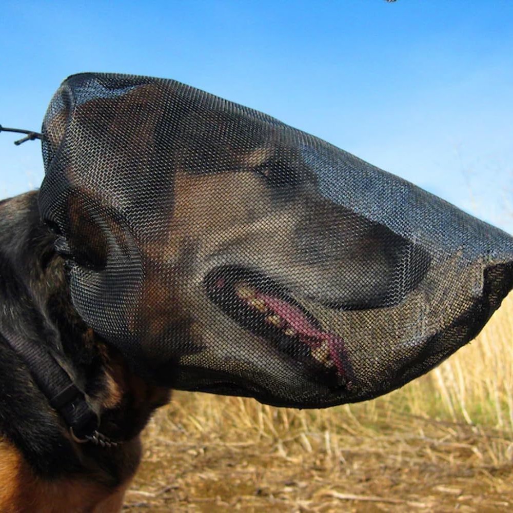 Outdoor Adventure Walks - メッシュ犬マスク調節可能な昆虫咬傷耐性アウトドアアドベンチャーウォーキング通気性ペットマスクペットヘッドカバー銃口カバー