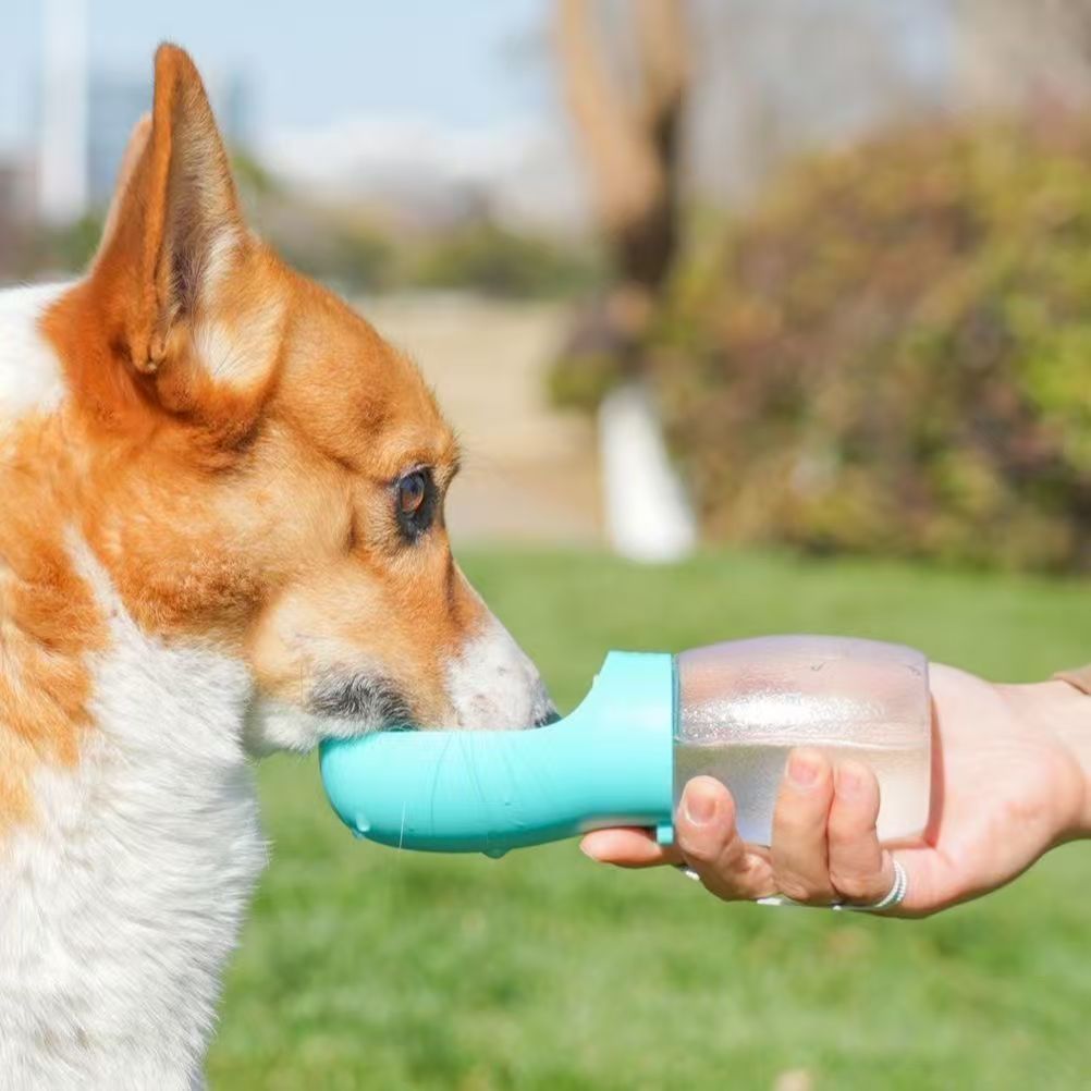 Outdoor Adventure Walks - 犬や猫用のポータブルペットウォーターボトル – ビションフリーゼなどの犬種とのお散歩、ハイキング、アウトドアアドベンチャーに最適です。