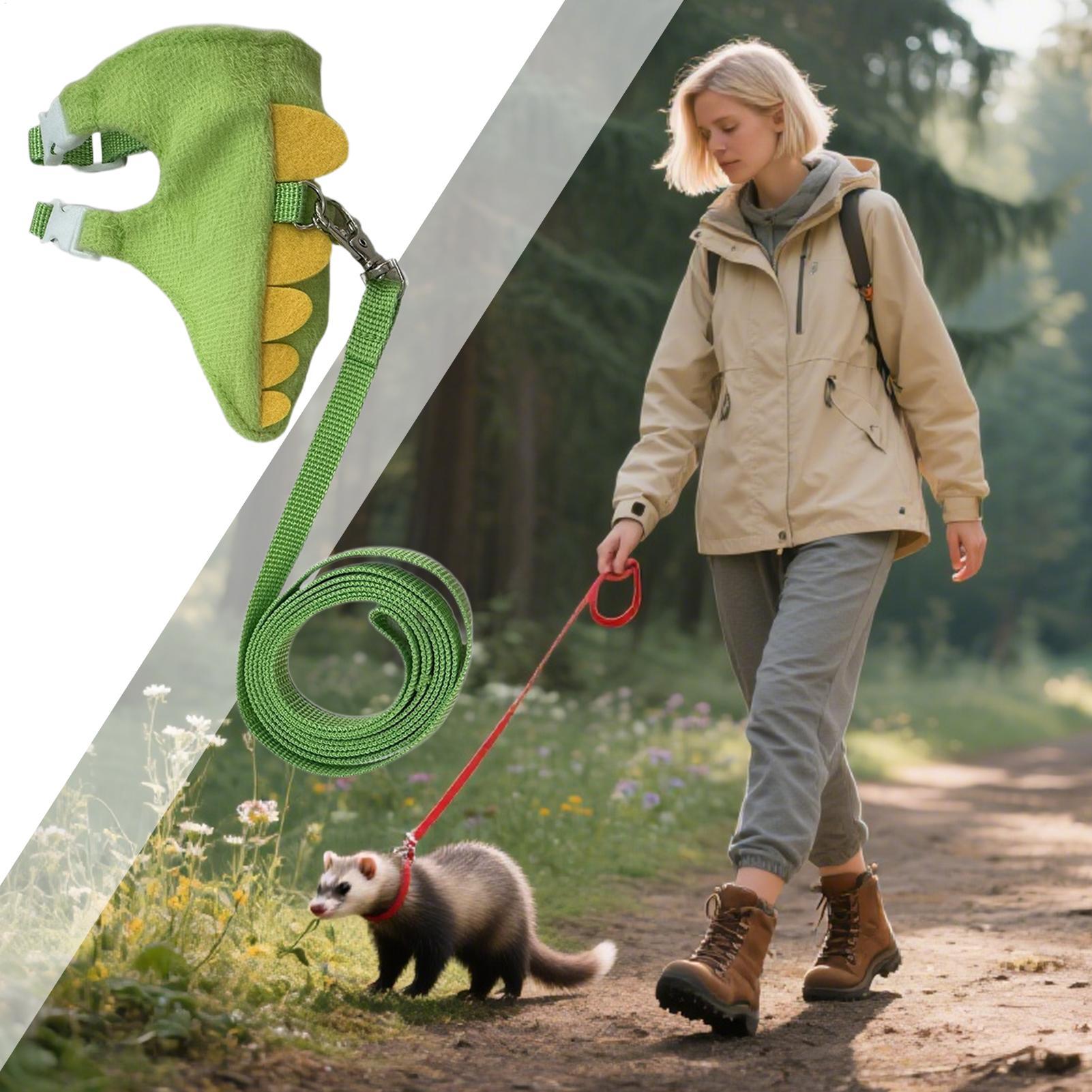 調節可能な小型ペット用ハーネスとリードセット、子猫、ウサギ、 - Outdoor Adventure Walks のレビューと価格