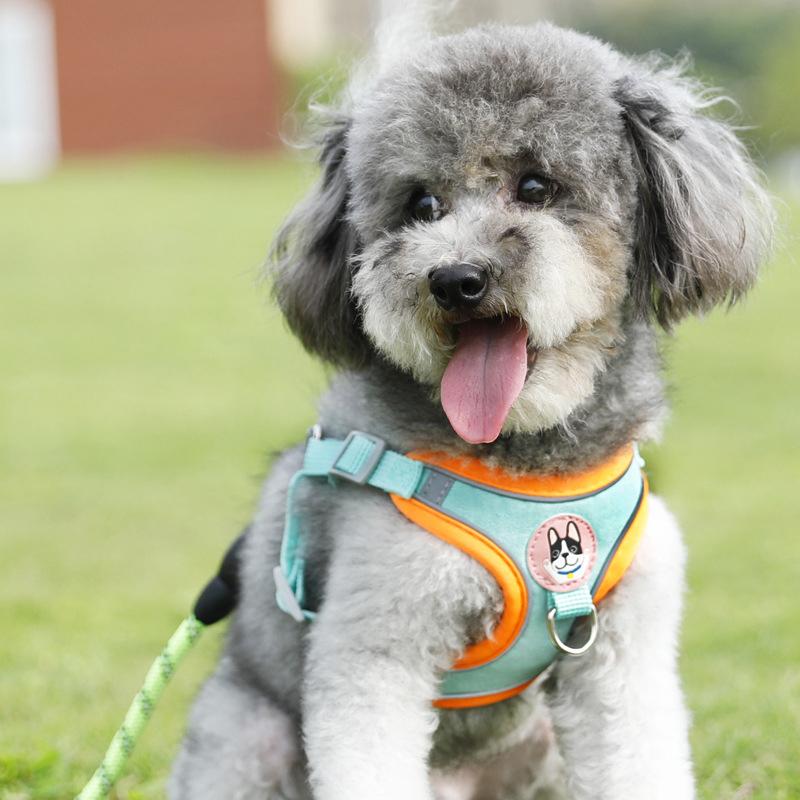 軽量調節可能犬用ハーネスリードセット 反射ベスト 小型犬・中 - Outdoor Adventure Walks のレビューと価格